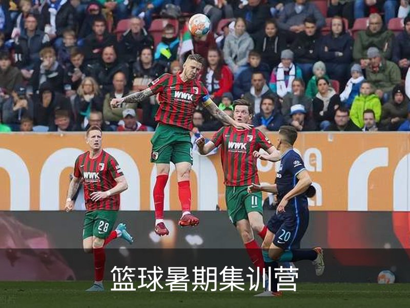 关于篮球暑期集训营
